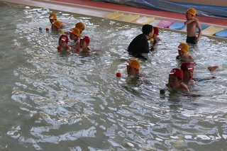 IMG_2211.JPG