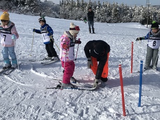 IMG_7828.JPG